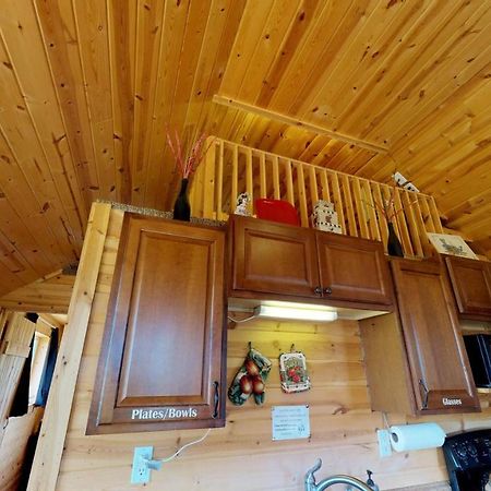 מונטיצ'לו White Pine Cabin By Canyonlands Lodging מראה חיצוני תמונה