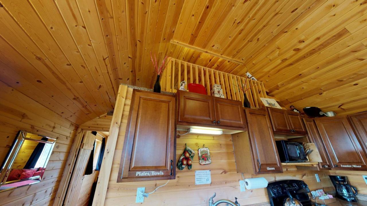 מונטיצ'לו White Pine Cabin By Canyonlands Lodging מראה חיצוני תמונה