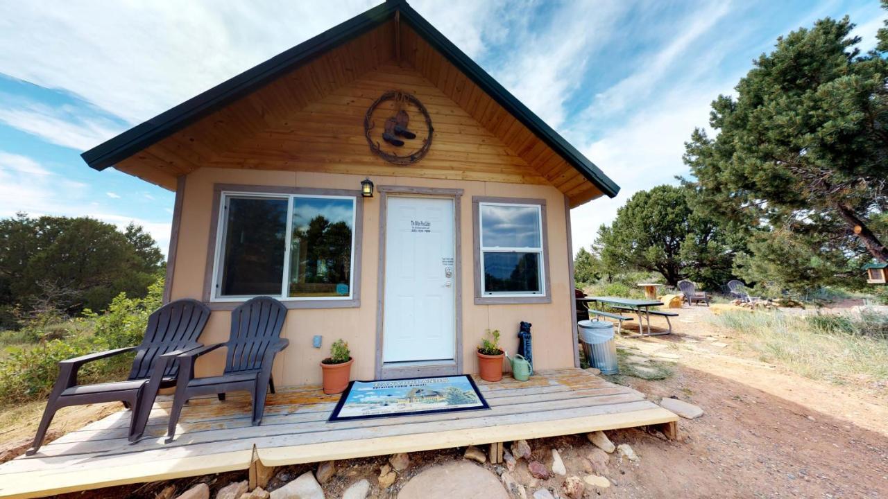מונטיצ'לו White Pine Cabin By Canyonlands Lodging מראה חיצוני תמונה