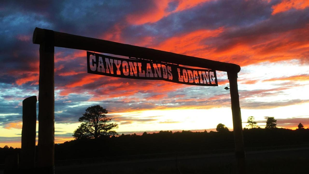 מונטיצ'לו White Pine Cabin By Canyonlands Lodging מראה חיצוני תמונה