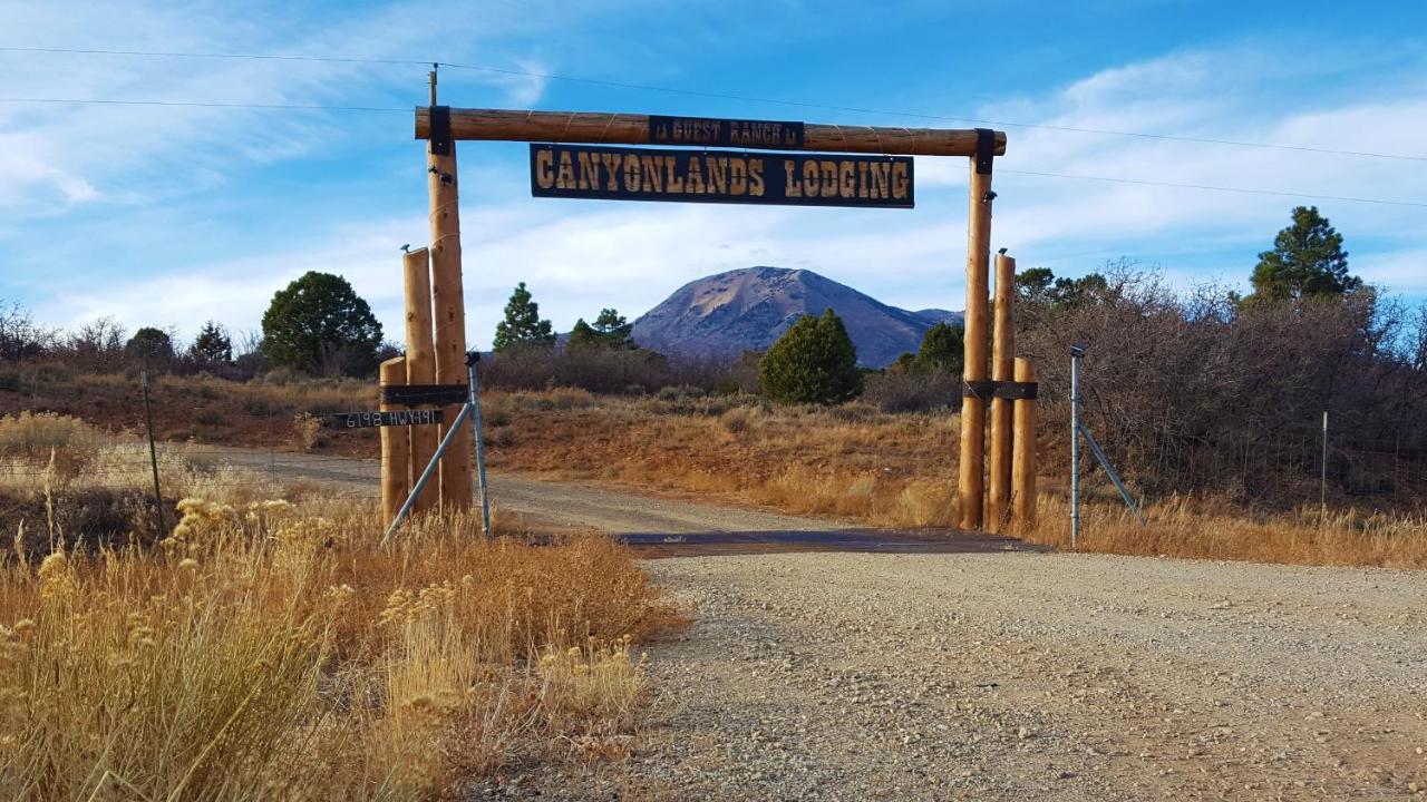 מונטיצ'לו White Pine Cabin By Canyonlands Lodging מראה חיצוני תמונה