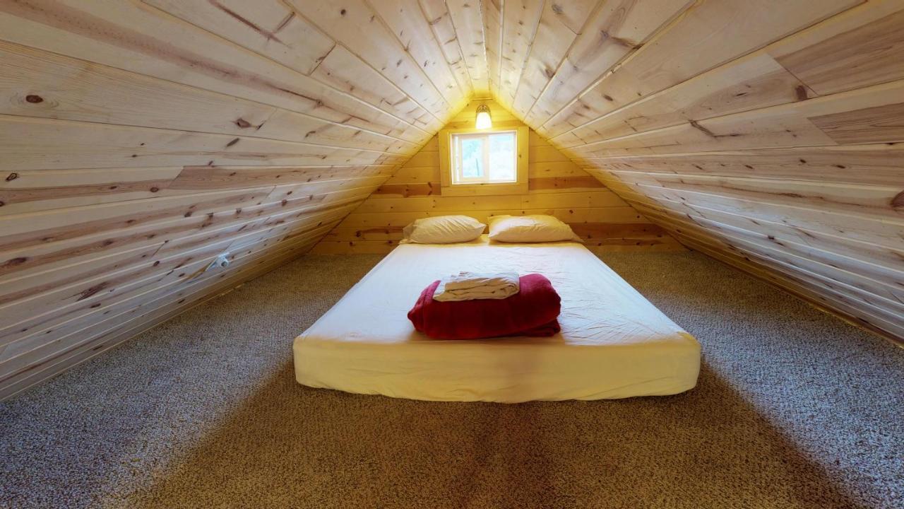 מונטיצ'לו White Pine Cabin By Canyonlands Lodging מראה חיצוני תמונה