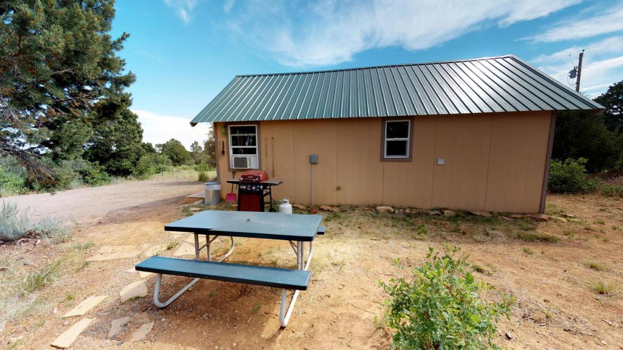 מונטיצ'לו White Pine Cabin By Canyonlands Lodging מראה חיצוני תמונה
